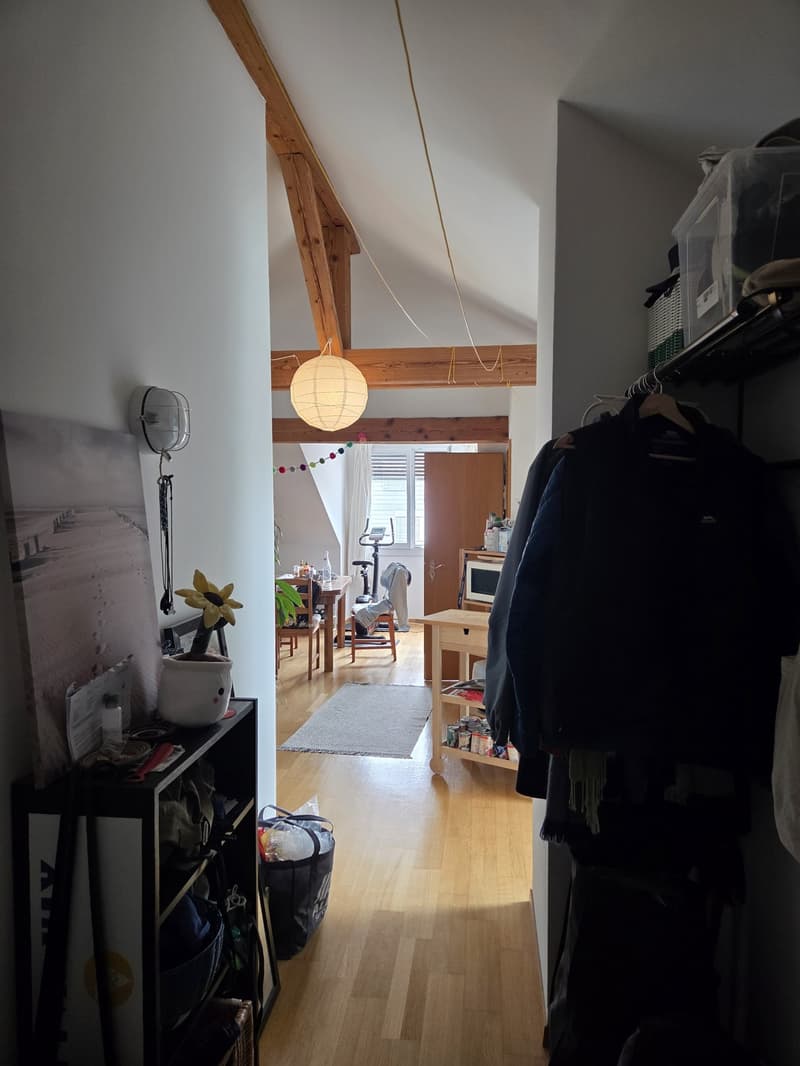 Bright spacious attic apartment (3)