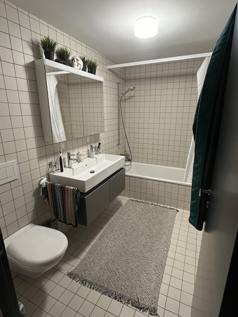 2.5 Zimmer Atelier Wohnung mit Terasse im Mattenhof (4)