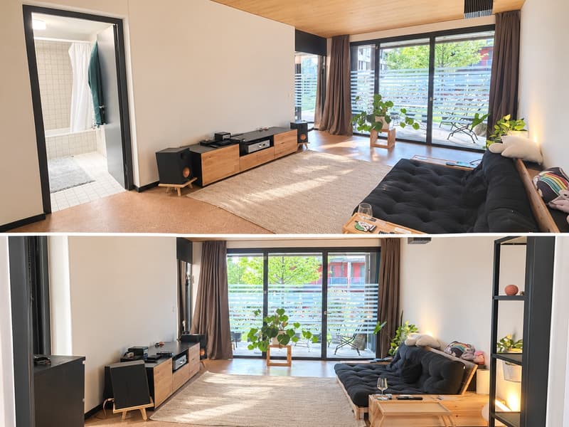 2.5 Zimmer Atelier Wohnung mit Terasse im Mattenhof (1)