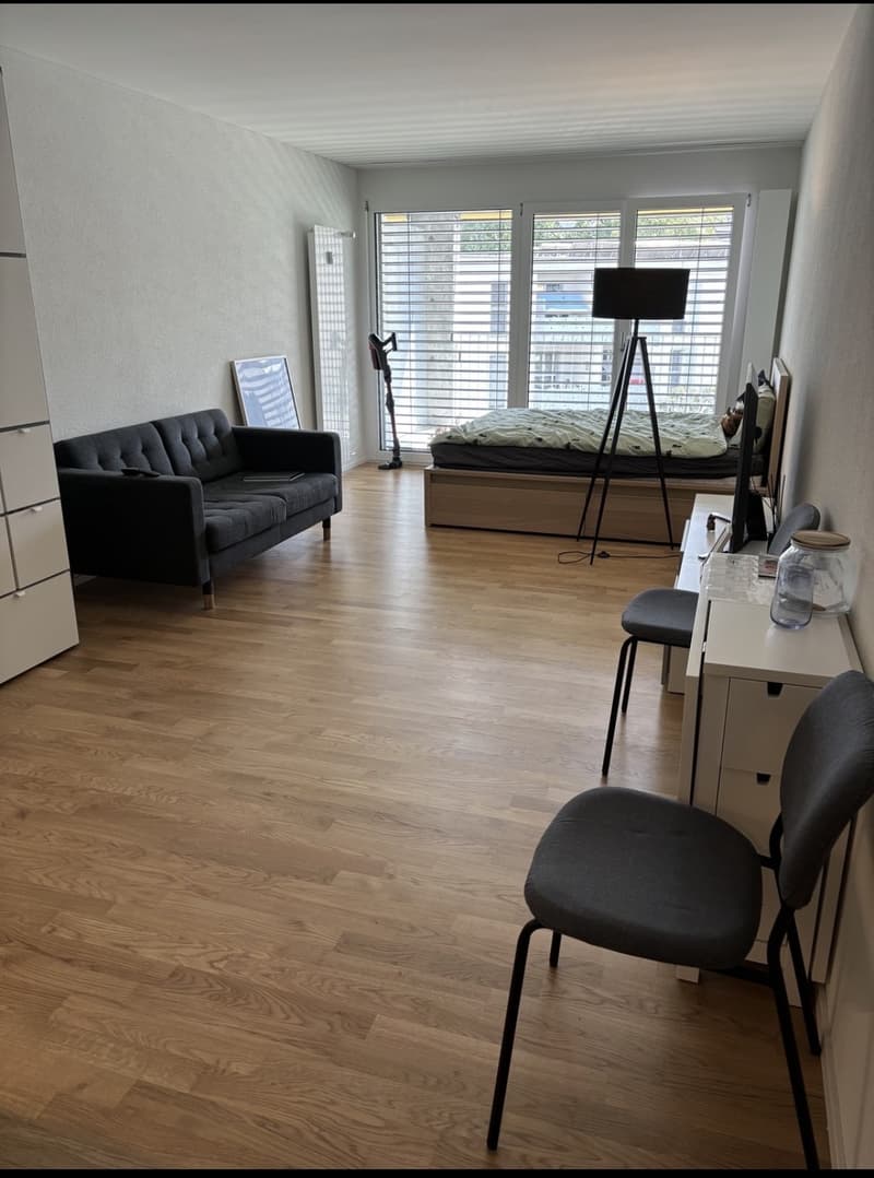 RENOVATED STUDIO APARTMENT WITH BALCONY FOR RENT ZURICH OERLIKON (4)