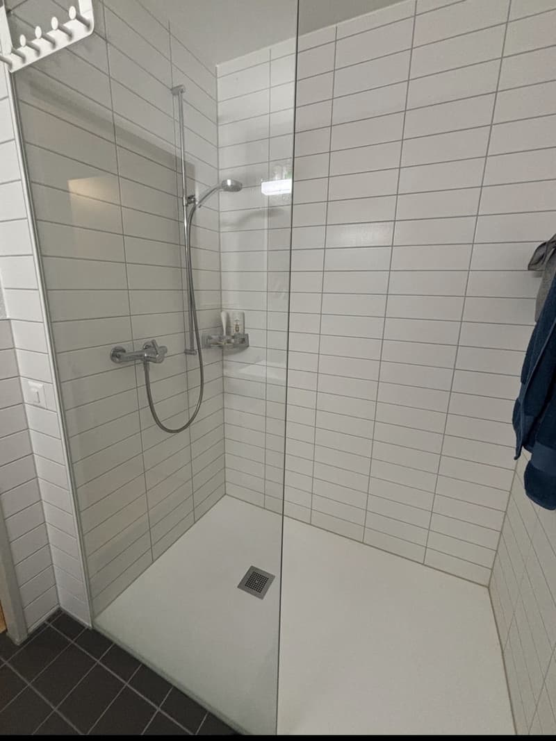 RENOVATED STUDIO APARTMENT WITH BALCONY FOR RENT ZURICH OERLIKON (2)