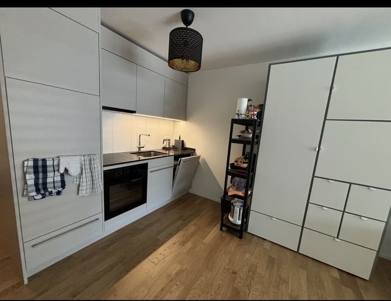 RENOVATED STUDIO APARTMENT WITH BALCONY FOR RENT ZURICH OERLIKON (1)