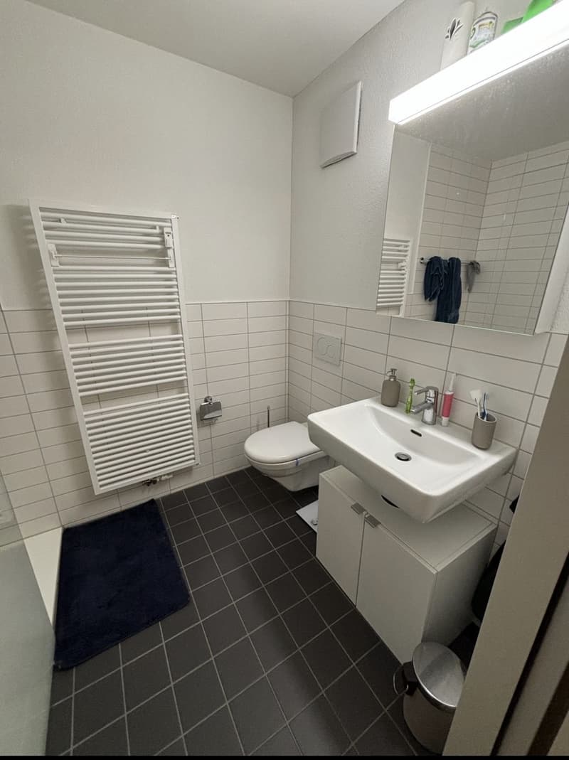 RENOVATED STUDIO APARTMENT WITH BALCONY FOR RENT ZURICH OERLIKON (3)