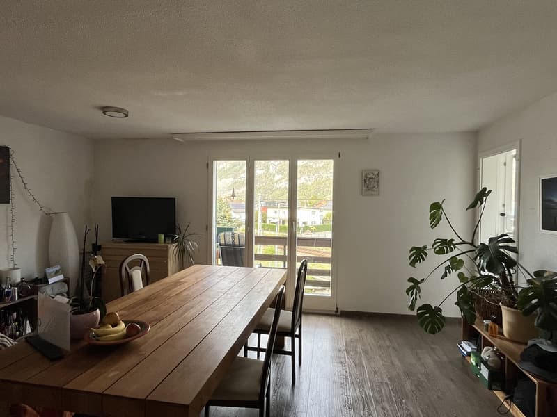 Gemütliche und geräumige Wohnung in der Gemeinde Murg (4)