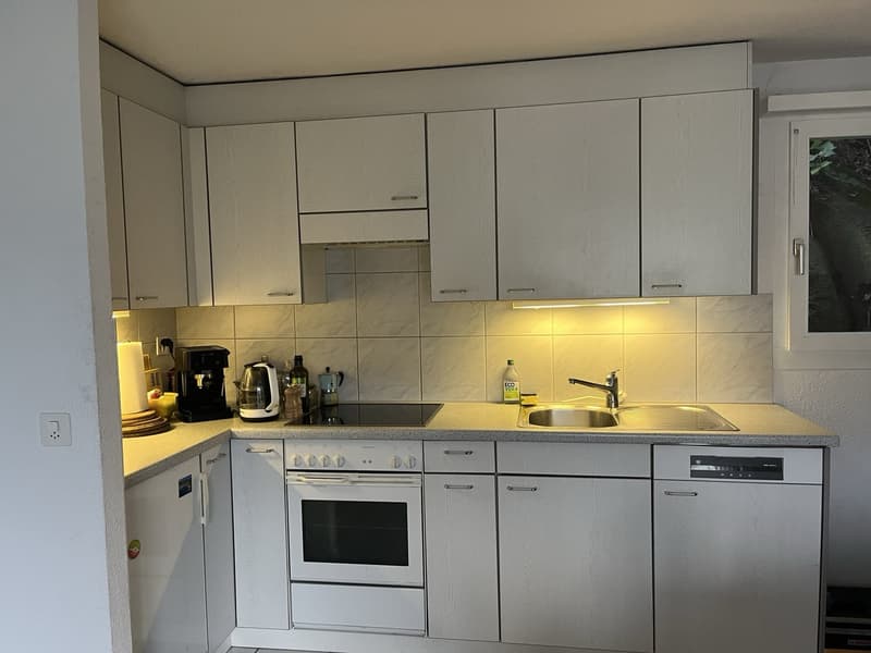 Gemütliche und geräumige Wohnung in der Gemeinde Murg (5)
