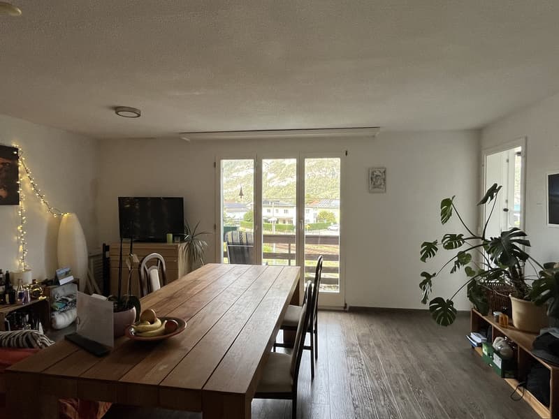 Gemütliche und geräumige Wohnung in der Gemeinde Murg (1)