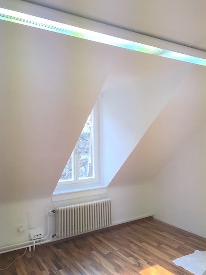 Mitbewohnerin für ruhiges WG Attika-Zimmer im Kreis 4 ab 1. Dezember (1)