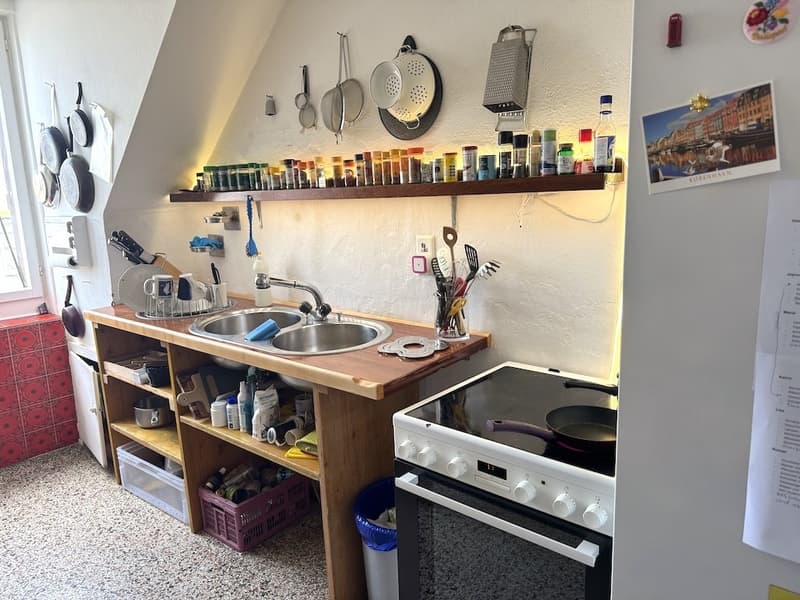Mitbewohnerin für ruhiges WG Attika-Zimmer im Kreis 4 ab 1. Dezember (4)