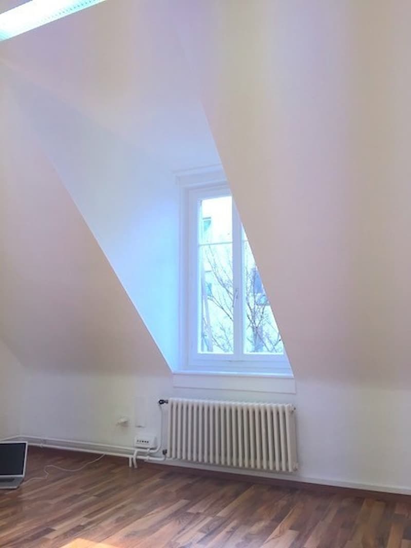 Mitbewohnerin für ruhiges WG Attika-Zimmer im Kreis 4 ab 1. Dezember (3)