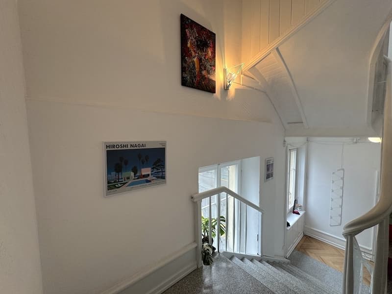 Mitbewohnerin für ruhiges WG Attika-Zimmer im Kreis 4 ab 1. Dezember (9)