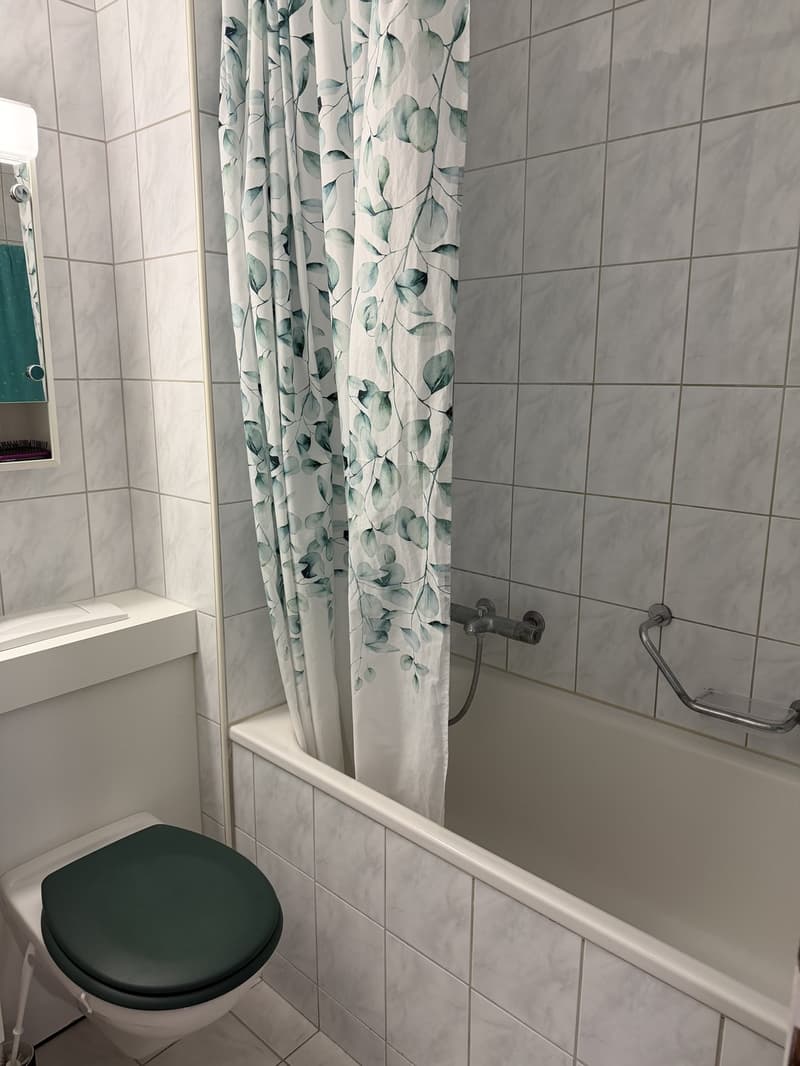 3 Zimmerwohnung im Weissenbühl (9)
