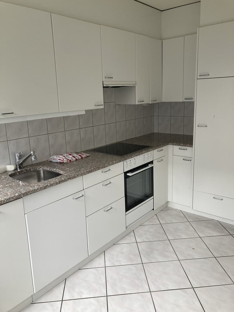 3 Zimmerwohnung im Weissenbühl (4)