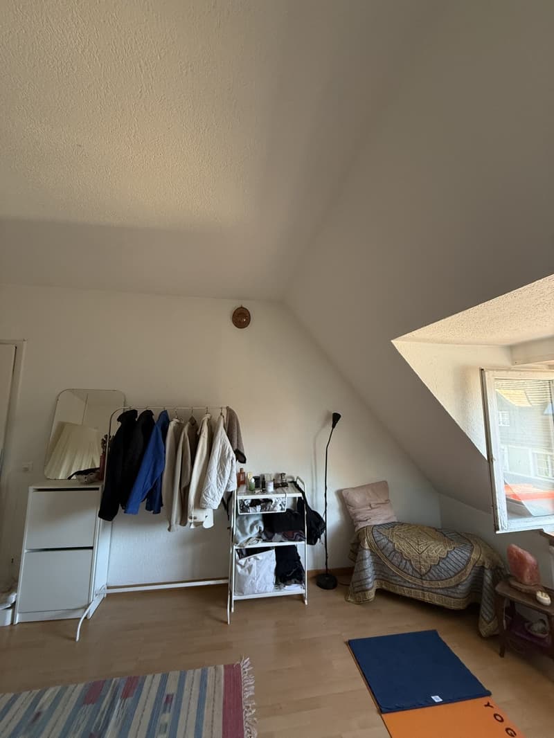 Room in shared flat November 1-31 OR ALSO 18th - Dec 6 (2)