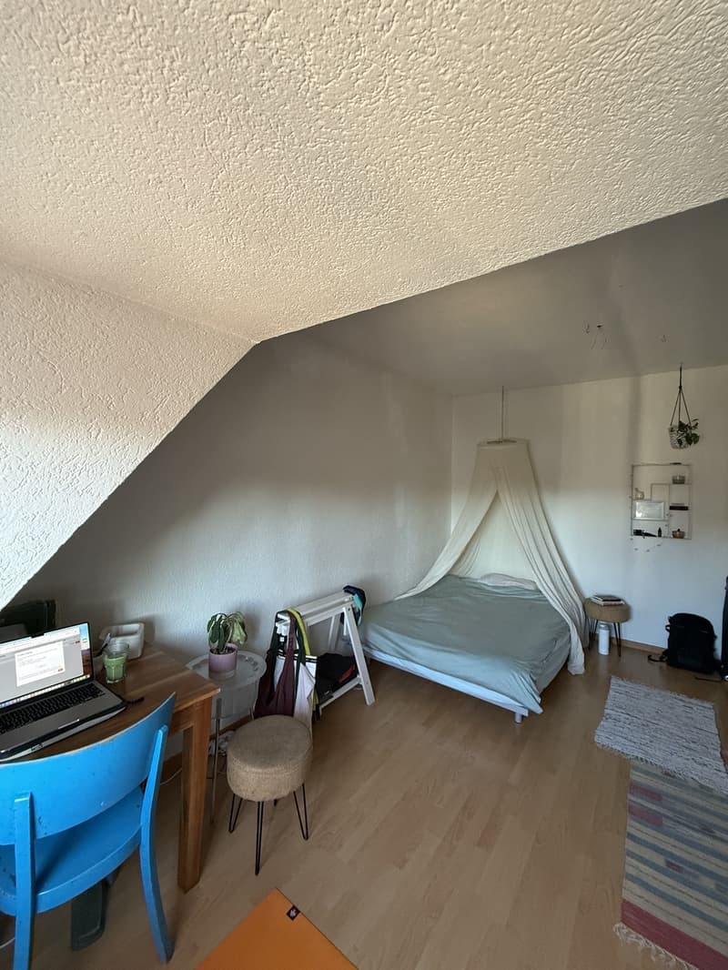 Room in shared flat November 1-31 OR ALSO 18th - Dec 6 (1)