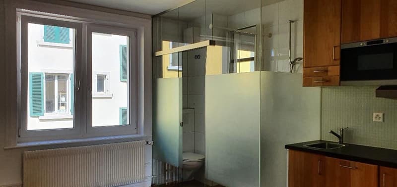 2 rooms apartment, 8038 Zurich (5)
