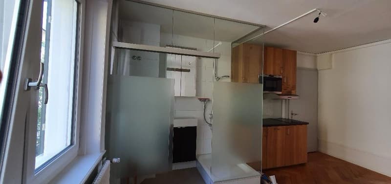 2 rooms apartment, 8038 Zurich (4)