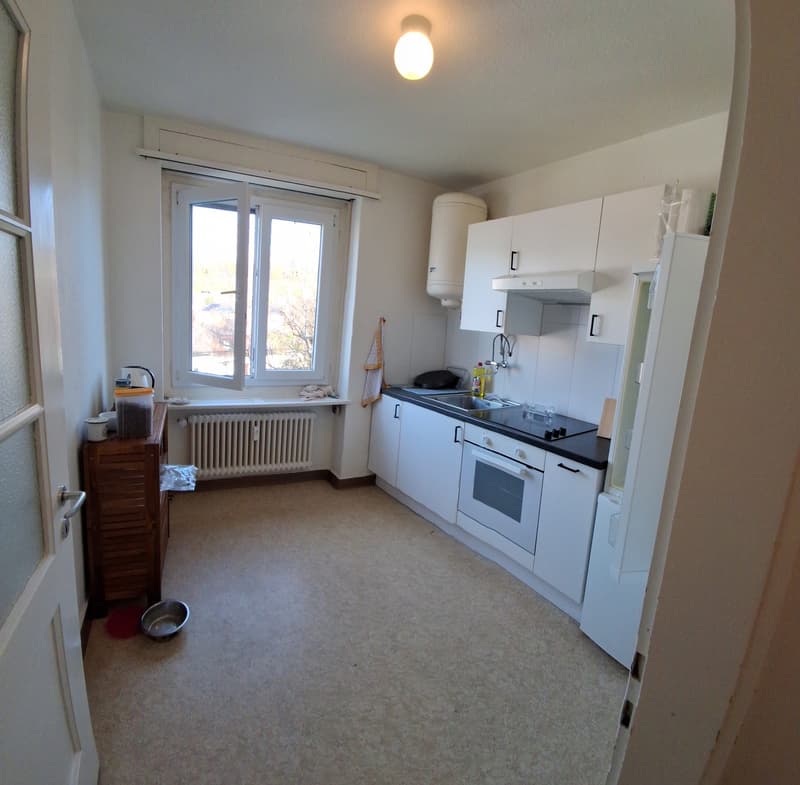 1.5-Zimmerwohnung (4)