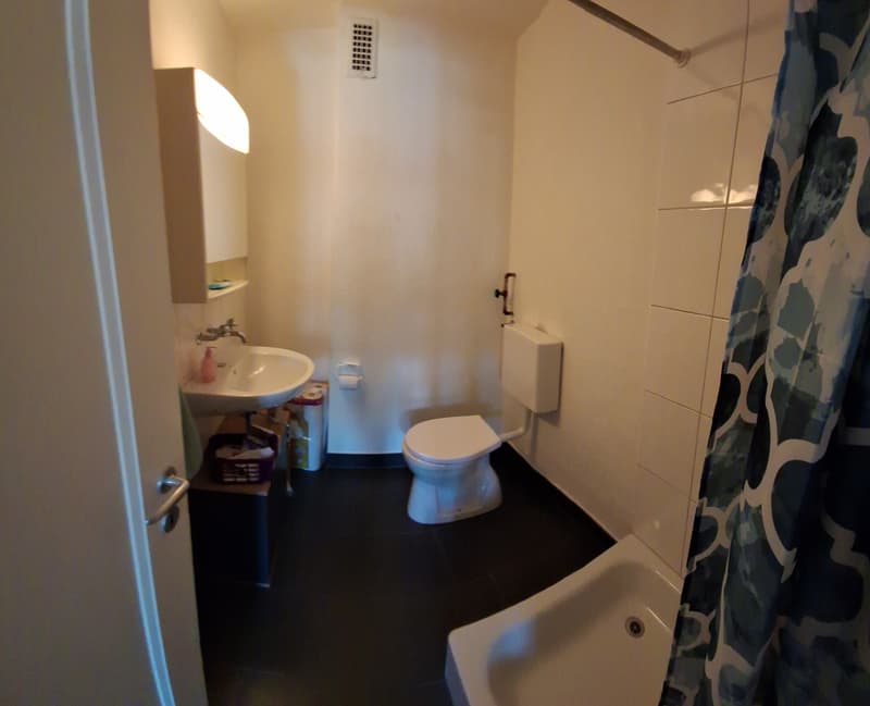 1.5-Zimmerwohnung (3)