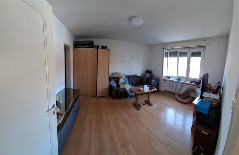 1.5-Zimmerwohnung (1)