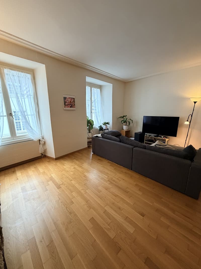 Charmante 2-Zimmer-Altbauwohnung in zentraler Vorstadtlage (4)