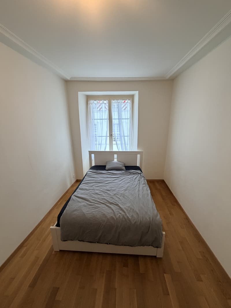 Charmante 2-Zimmer-Altbauwohnung in zentraler Vorstadtlage (3)