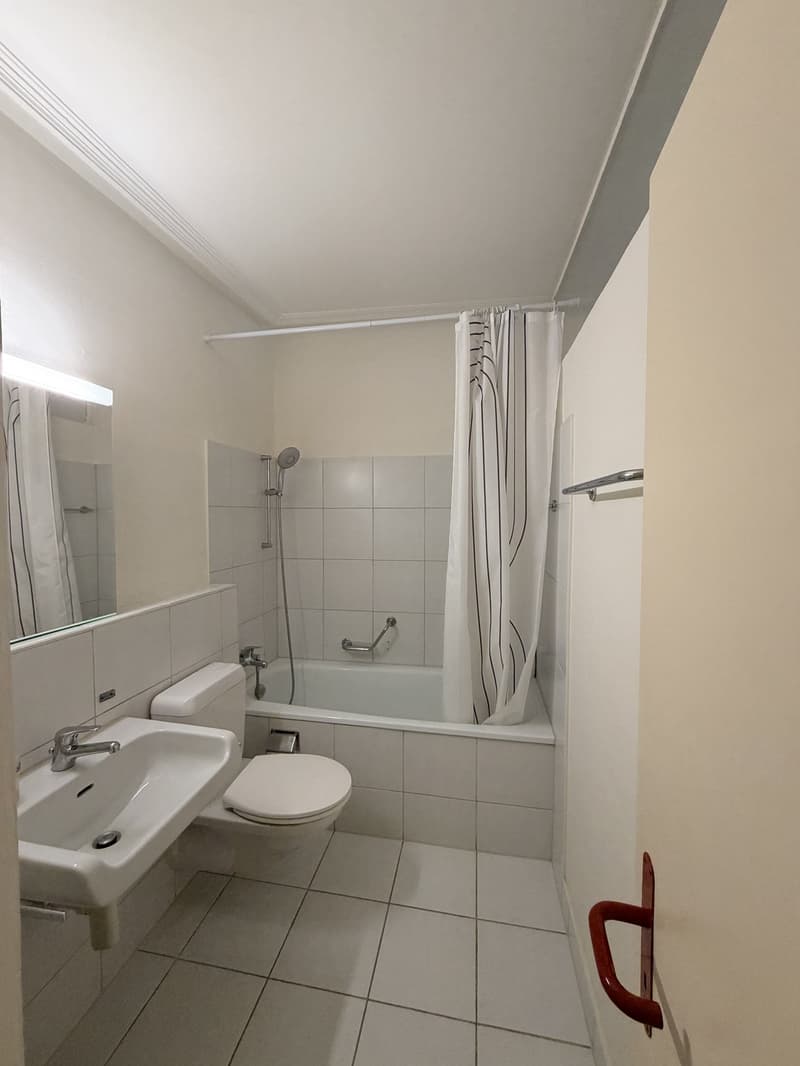 Charmante 2-Zimmer-Altbauwohnung in zentraler Vorstadtlage (6)