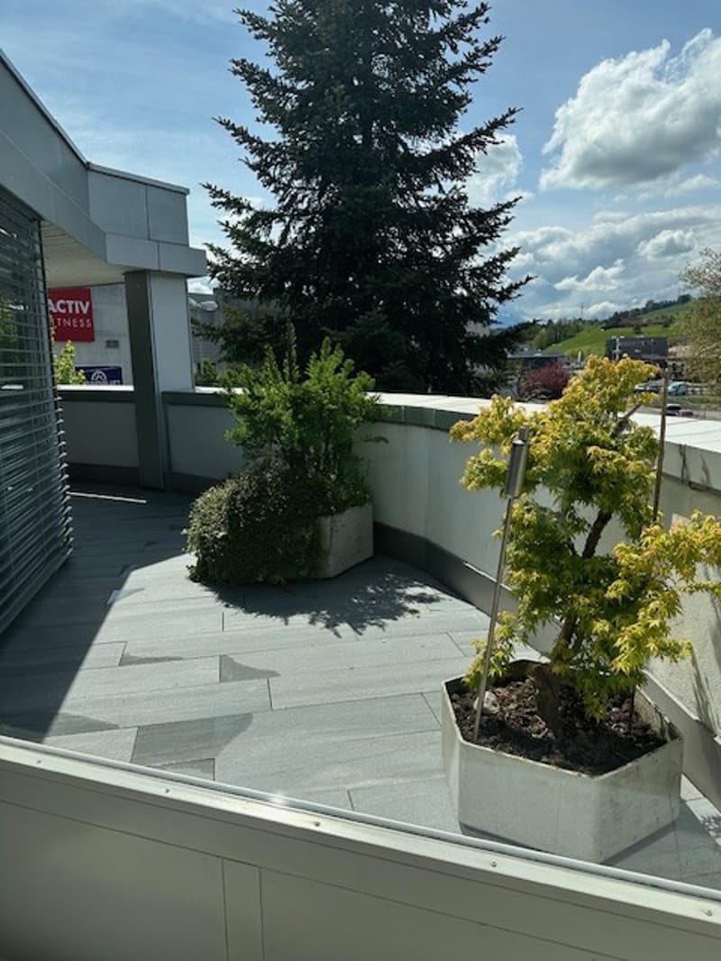 5 ½ Zimmer-Wohnung, 6403 Küssnacht am Rigi (10)
