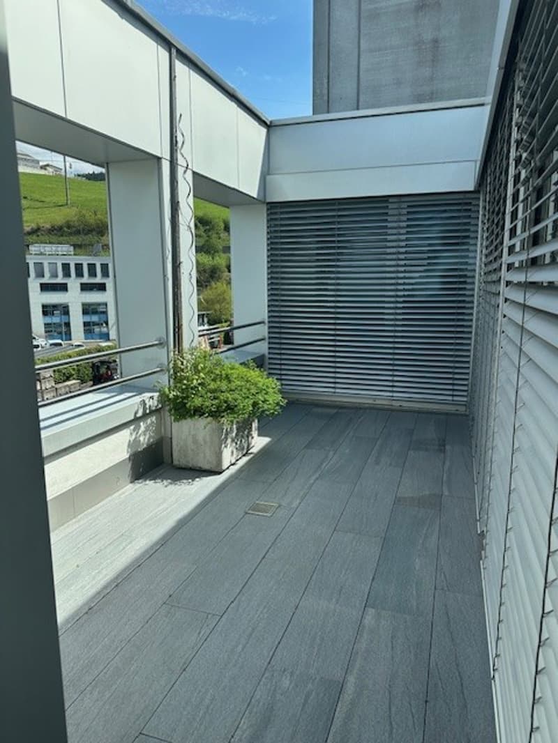 5 ½ Zimmer-Wohnung, 6403 Küssnacht am Rigi (8)