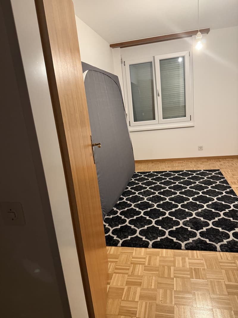 WOHNUNG ZU VERMIETEN  KREUZLINGEN (2)
