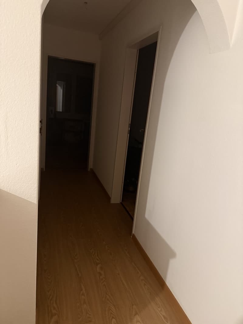 WOHNUNG ZU VERMIETEN  KREUZLINGEN (3)