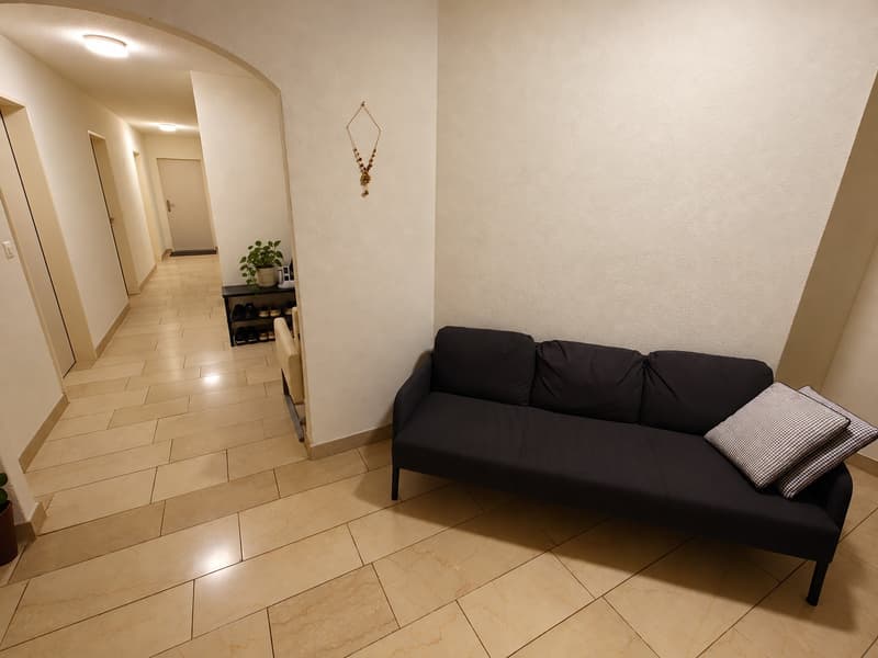 WG Zimmer + Balkon im Steuerparadies (8)
