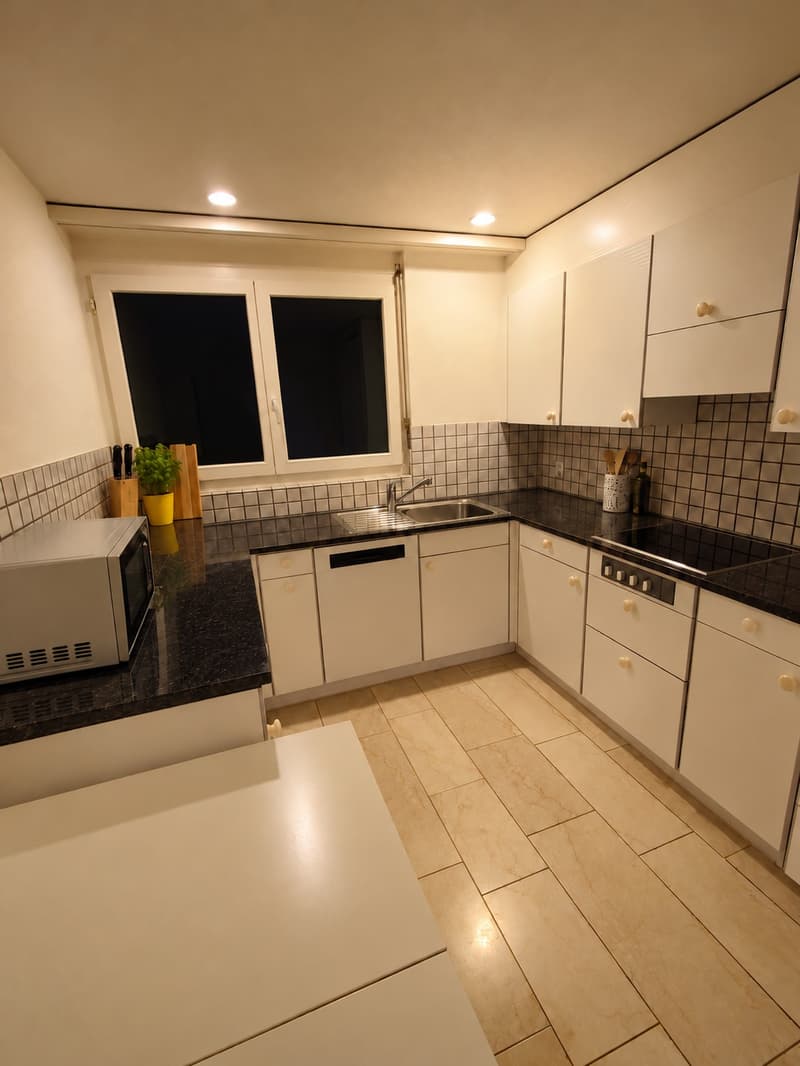WG Zimmer + Balkon im Steuerparadies (6)