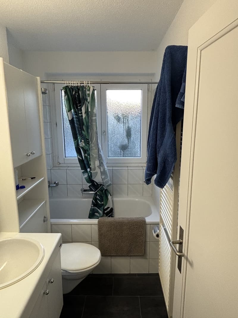 WG-Zimmer in 3.5-Zimmer-Wohnung Imbisbühlstrasse 159, 8049 Zürich 10.1 m², 950 CHF inkl. NK (4)