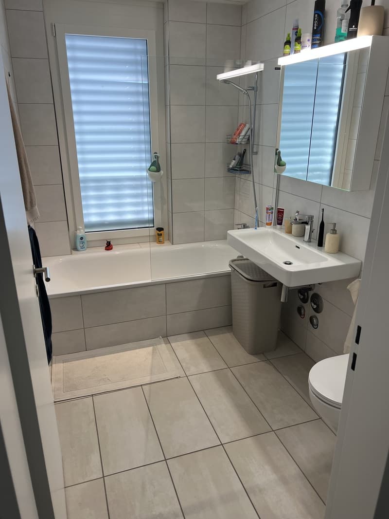 Wohnung mit Seeblick (4)