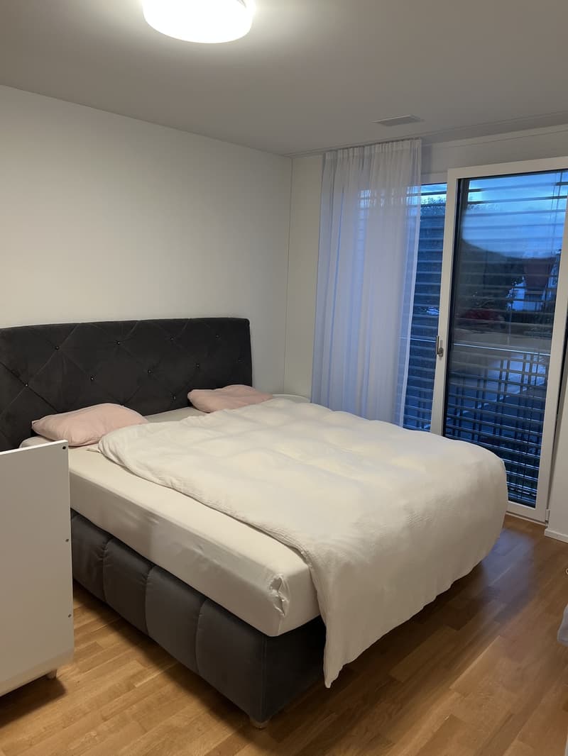 Wohnung mit Seeblick (5)