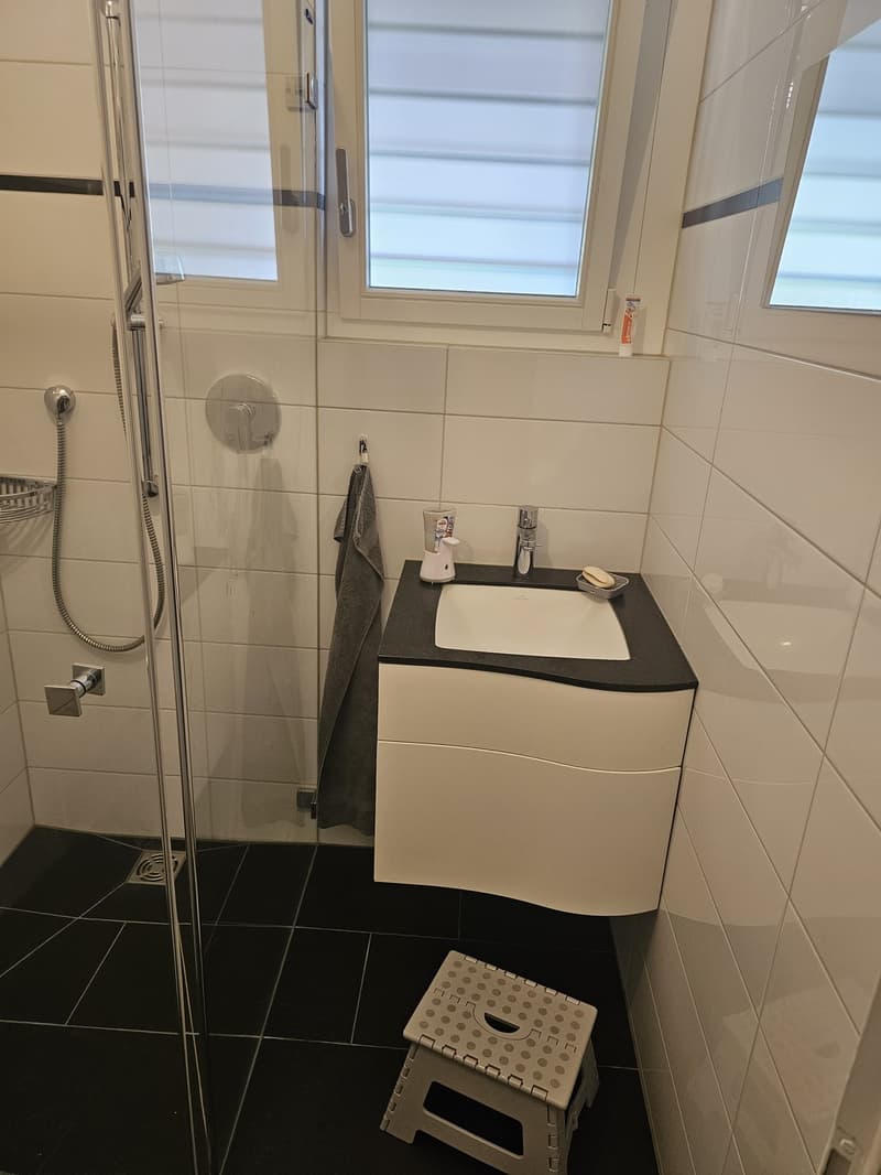 5 ½ Zimmer-Wohnung, 6340 Baar (2)