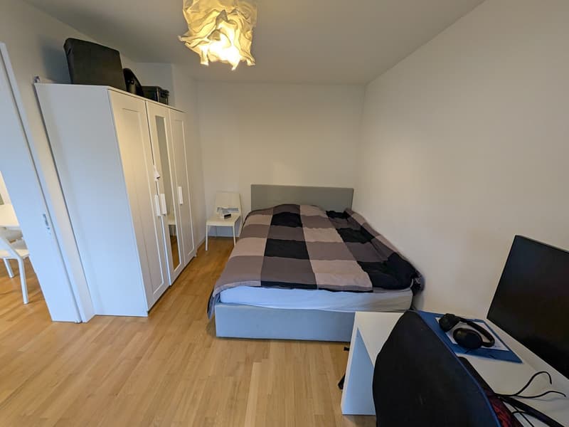 Bright and calm 2.5-room apartment in Zurich 8050 (9)