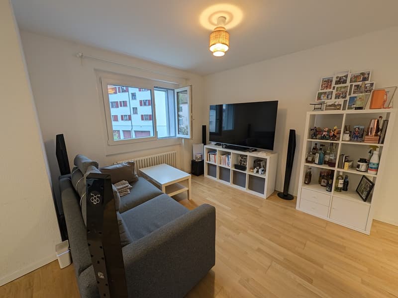 Bright and calm 2.5-room apartment in Zurich 8050 (3)