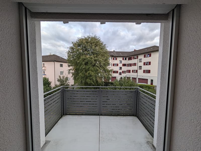 Bright and calm 2.5-room apartment in Zurich 8050 (6)