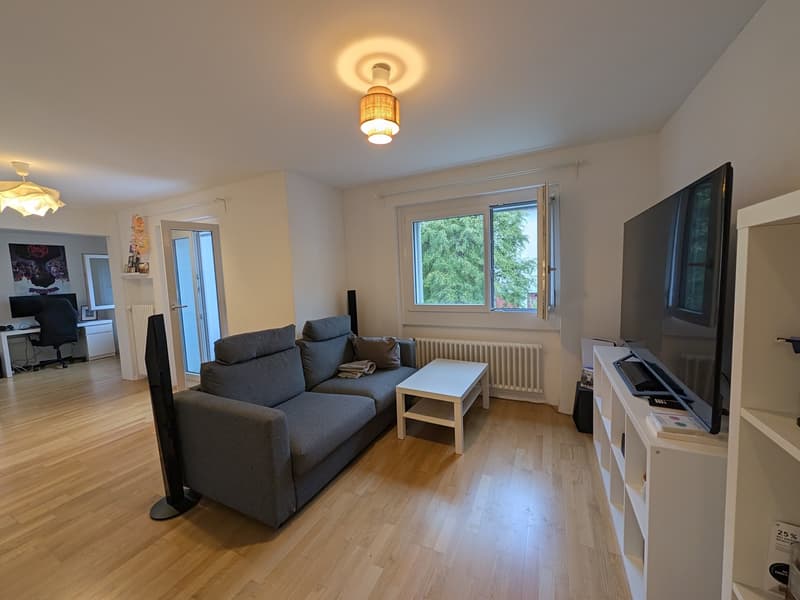 Bright and calm 2.5-room apartment in Zurich 8050 (1)