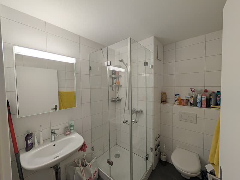 Bright and calm 2.5-room apartment in Zurich 8050 (11)