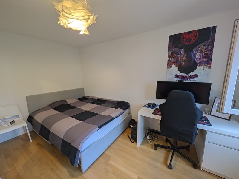 Bright and calm 2.5-room apartment in Zurich 8050 (8)
