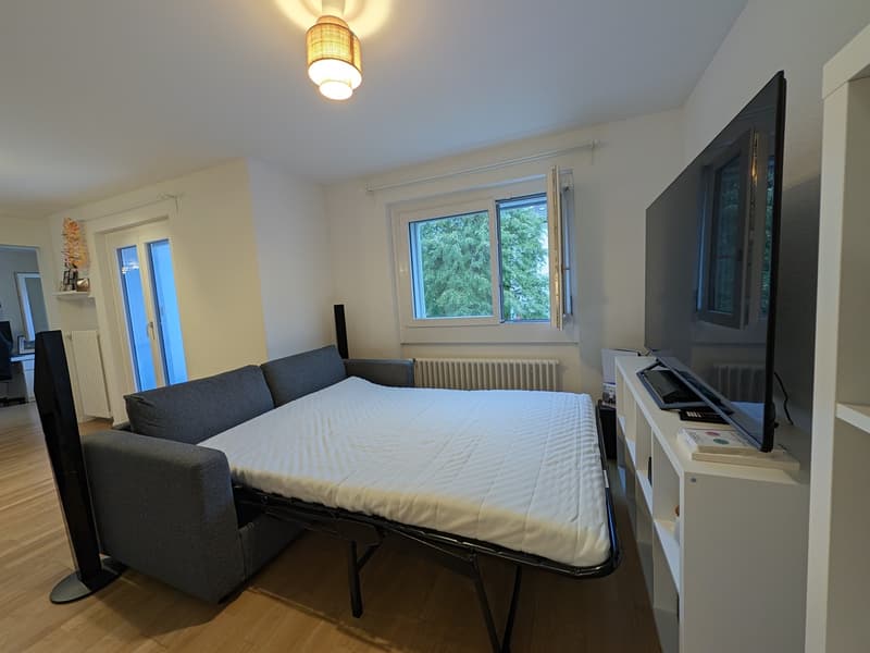 Bright and calm 2.5-room apartment in Zurich 8050 (2)