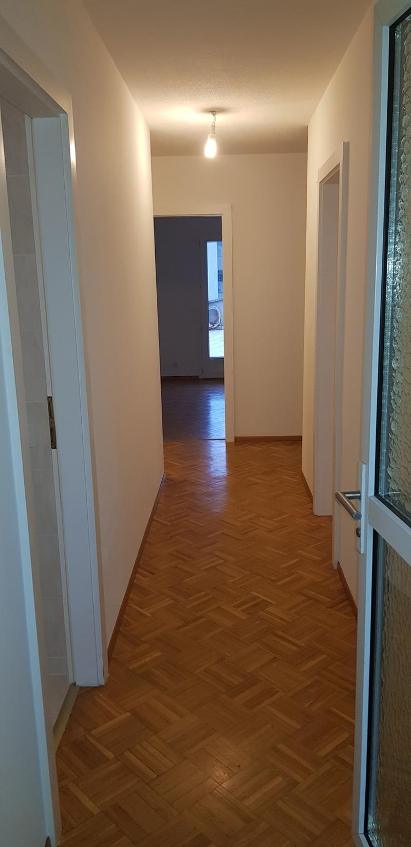 Subentrante cercasi Luminoso 4.5 locali con giardino a Sorengo (Lugano) (10)