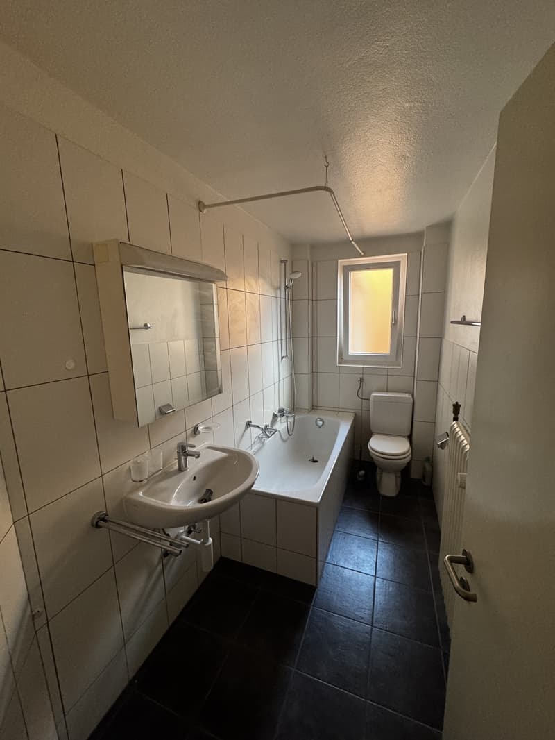3.5 zimmer Oerlikon (2)
