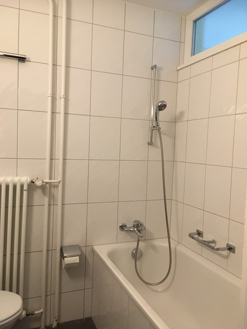 1.5-Zimmer Wohnung mit Balkon an zentraler Lage (5)