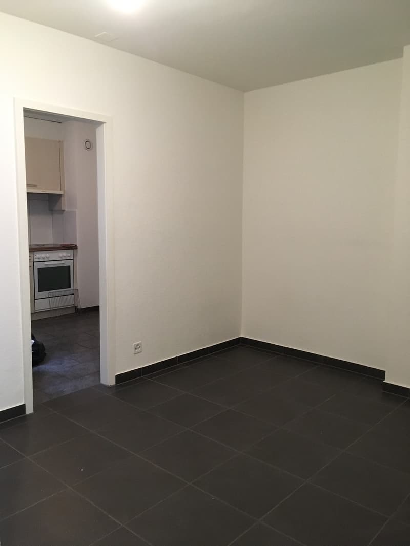 1.5-Zimmer Wohnung mit Balkon an zentraler Lage (6)