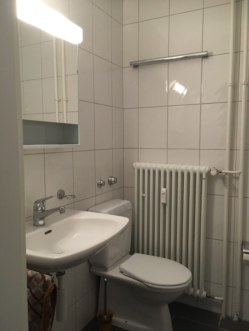 1.5-Zimmer Wohnung mit Balkon an zentraler Lage (4)