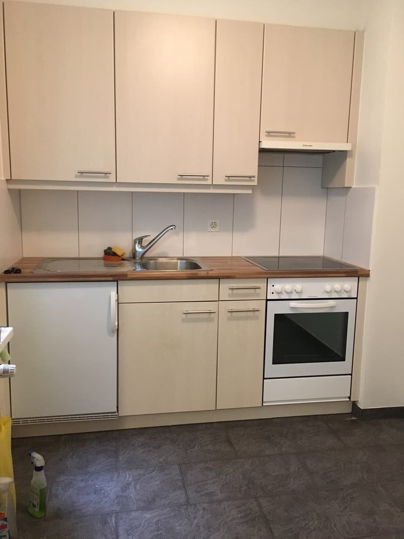1.5-Zimmer Wohnung mit Balkon an zentraler Lage (3)