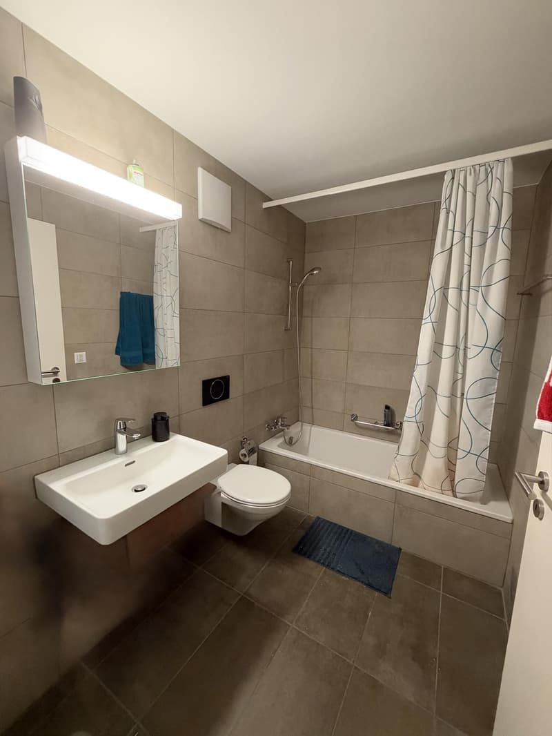 2,5 Zimmer Wohnung in Weiach (2)